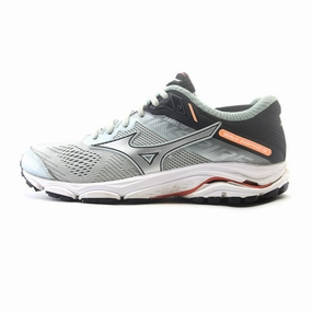 running on asphalt shoes beachgoers' shoes MIZUNO WAVE INSPIRE 15