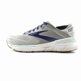 BROOKS ADRENALINE GTS 22 running in a geothermal area shoes Foot Protection
