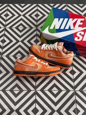 Dunk SB Lobster Orange (Taille 36) Classy durability