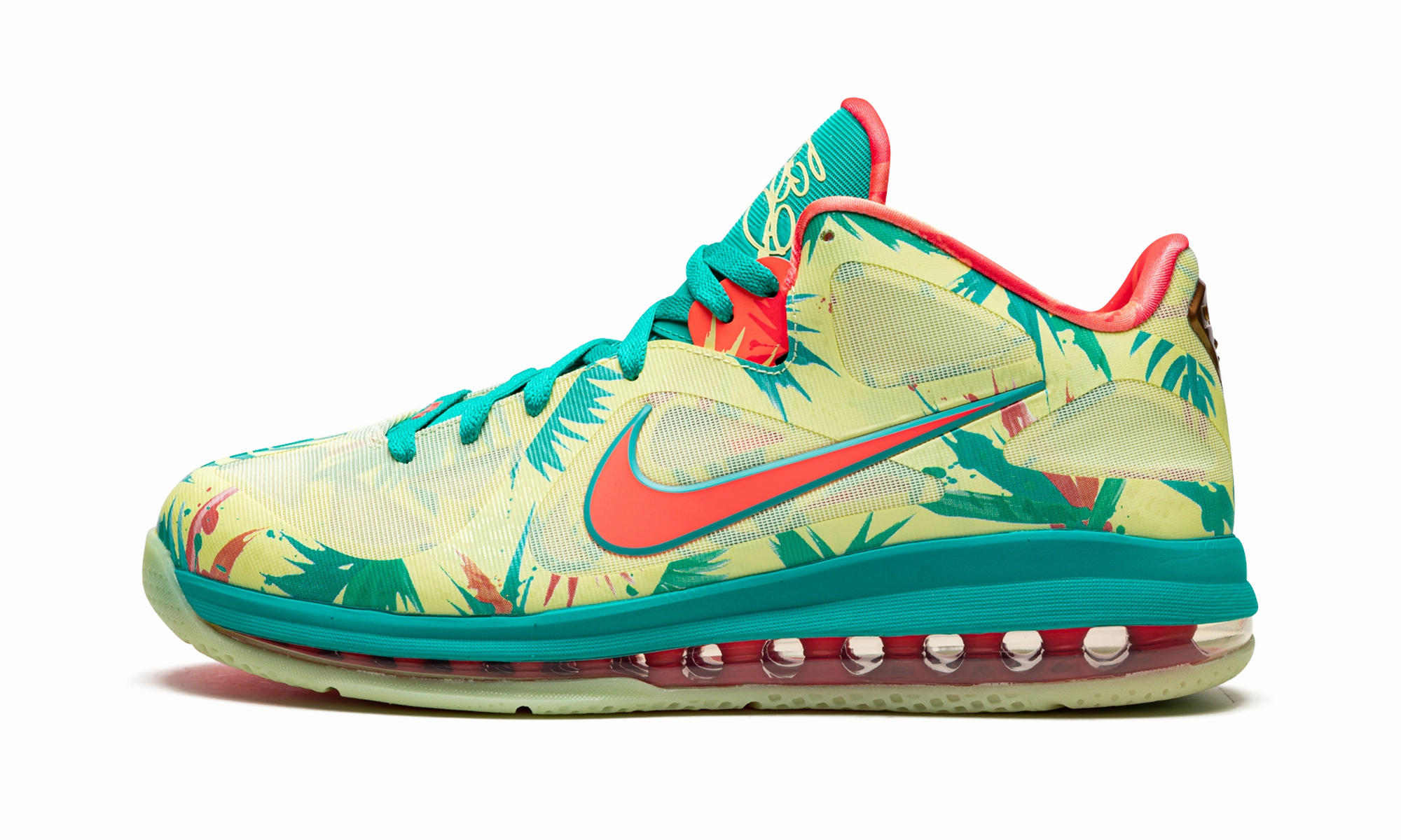 Sturdy LeBron 9 Low "LeBronald Palmer"