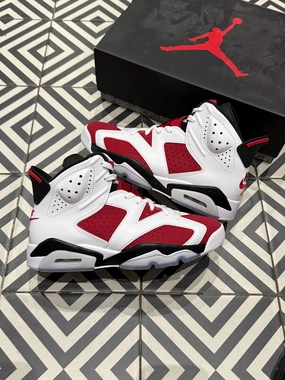 Jordan 6 Carmine (Taille 41) Power Grip
