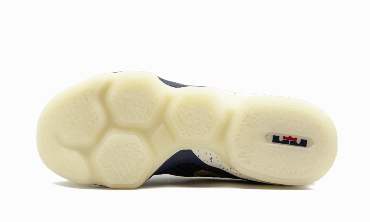 Explosive Step Comfort Sockliner Lebron 14 Low "USA"