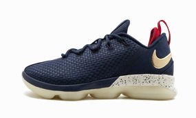 Dynamic Performance Lebron 14 Low "USA"