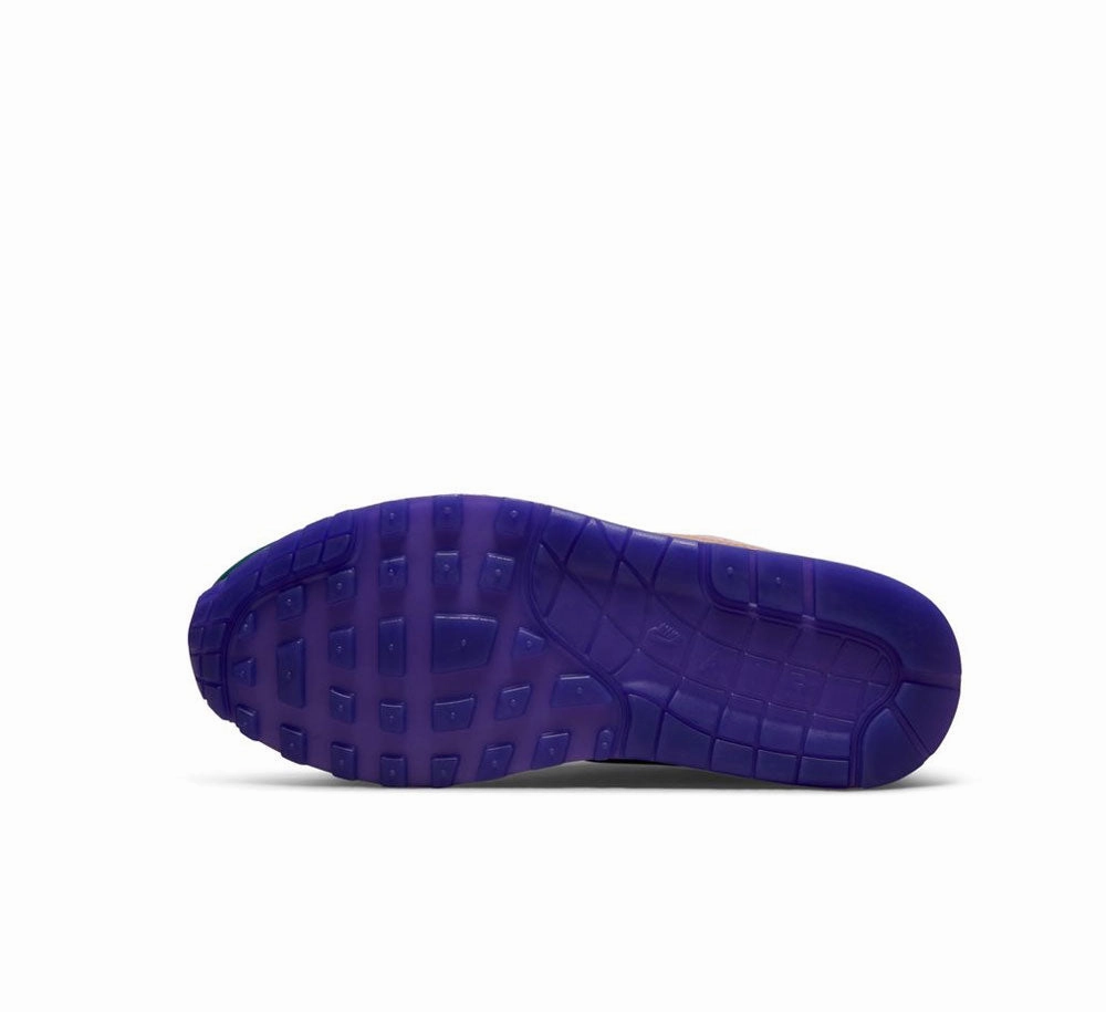Flex Fit Adaptive Harness System WOMENS AIR MAX 1 PRM