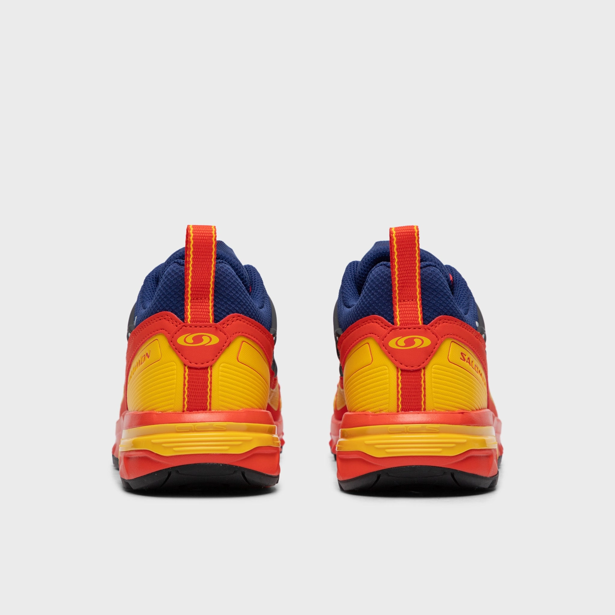 Fresh Style Salomon ACS  Heritage Cherry Tomato / Purple Reign - Lemon