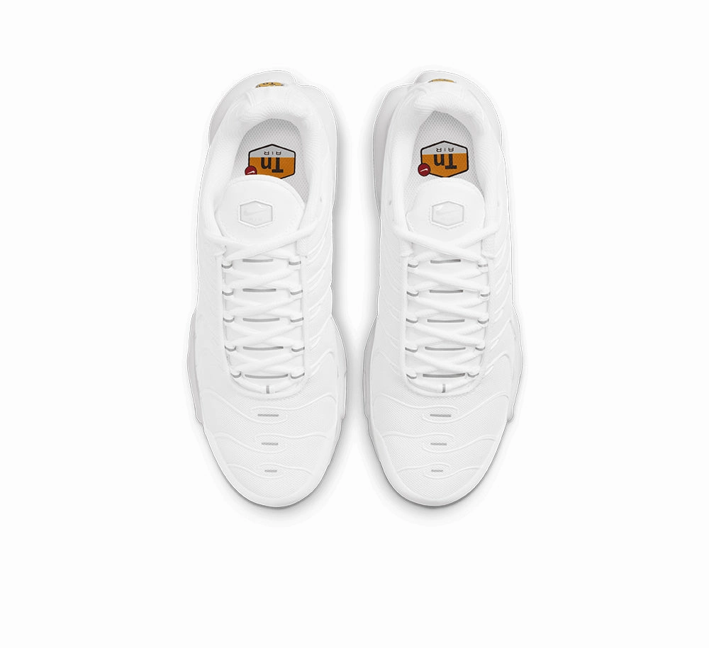 Adaptive Technology Women's Nike Air Max Plus