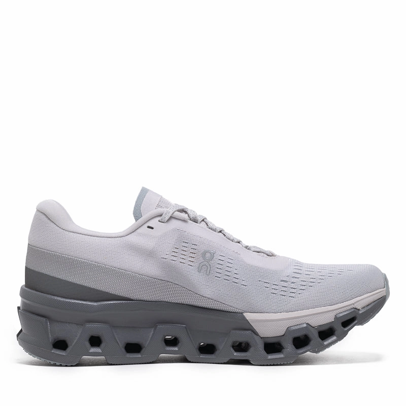 running in a park shoes Women's On Cloudmonster 2 - Frost/Rock