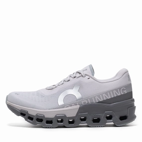 Women's On Cloudmonster 2 - Frost/Rock CushionedInsole forest running shoes